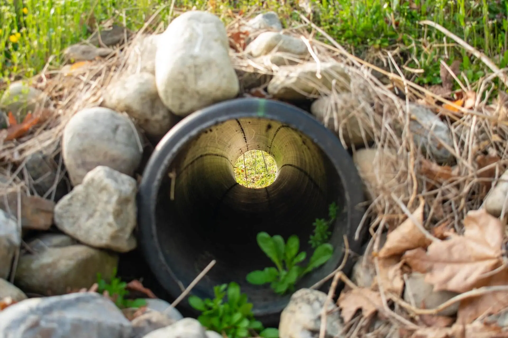 Improve Drainage
