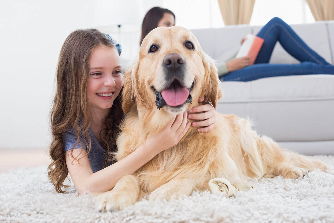 Pet-Proofing Your Home